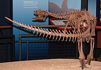 Archivo:Burpee - Thescelosaurus