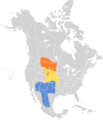 Calcarius ornatus map