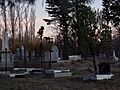 Capel Moriah, Trelew 11