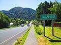 Carretera Austral El Amarillo