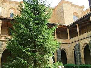 Archivo:Casalarreina - Mº de Santa Maria de la Piedad 12