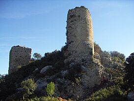 Castell de Seta - 03.jpg
