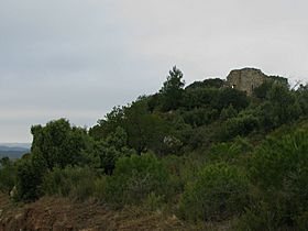 Castell de la Grevalosa - Castellfullit del Boix CIC 20100202 09536.jpg
