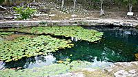 Archivo:Cenote Xlacah