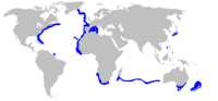 Distribución geográfica de la pailona (en azul).