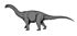 Cetiosaurus1.jpg