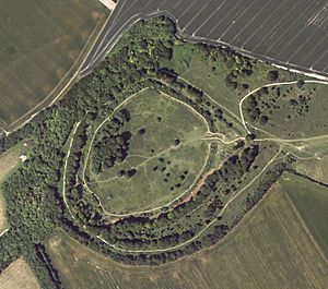 Archivo:Danebury Fort - aerial image, Hampshire Data Portal