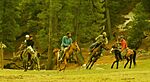 Archivo:Fairy meadows polo match