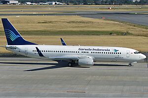 Archivo:Garuda Indonesia Boeing 737-800 PER Koch-1