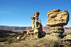 Ischigualasto provincial park.jpg