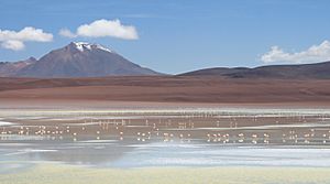 Archivo:Laguna Khara, Bolivia