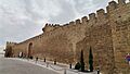 Lienzo este del castillo Lopera