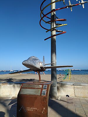 Archivo:MAT - CASA C-101 Mirlo