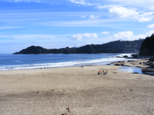 Archivo:Maicolpue