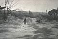 Mount Lamington 1951 destruction