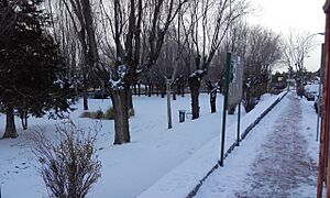 Archivo:Nevada marzo8