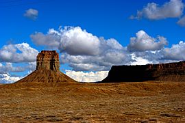 Archivo:New Mexico Desert