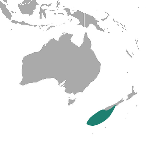 Archivo:New Zealand Sea Lion area