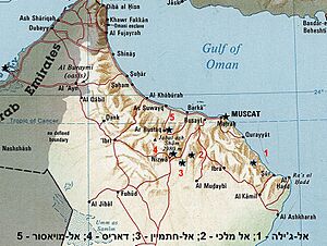 Archivo:Oman-aflaj
