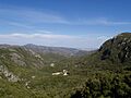Oridda