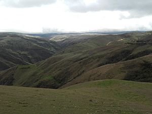 Paisaje natural de N de S vía Bucaramanga - Pamplona.jpeg