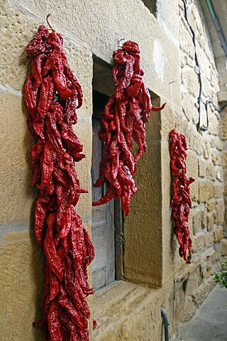 Pimientos choriceros.jpg