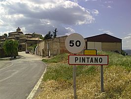 Vista de la entrada al núcleo de Pintano.