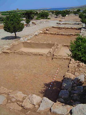 Archivo:Plano de la excavacion general