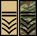 SM1MNB