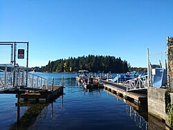Silcox Island from community dock.jpg