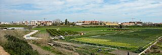 Sollana (cropped).jpg