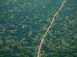 Archivo:Strip of road running through the forest in Burundi