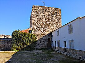 Torreón de la Muña.jpg