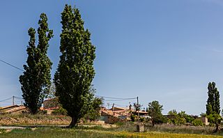 Valverde de los Ajos, Soria, España, 2017-05-26, DD 48.jpg