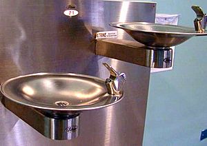 Archivo:Water fountains - two stainless steel