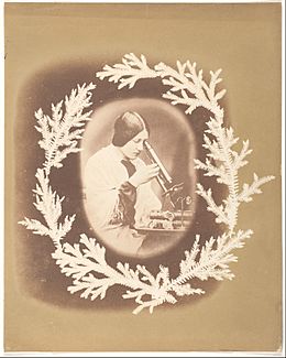 Archivo:-Thereza Dillwyn Llewelyn with Her Microscope- MET DP217032