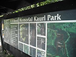 Archivo:AH Reed Memorial Kauri Park