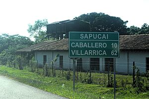 Archivo:Acceso a Sapucai por la Ruta Paraguarí-Villarrica