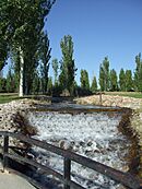 Archivo:Arroyo desde la fuente de piedra del parque juan carlos