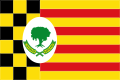 Bandera del Campell.svg