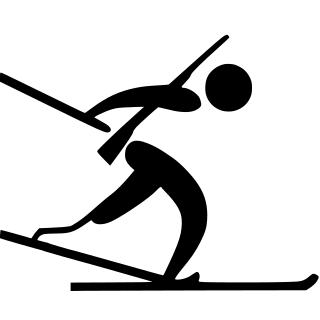 Biathlon - Paralympic pictogram.svg