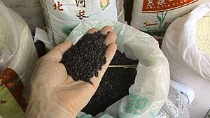 Archivo:Black rice 01