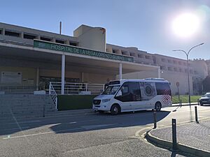 Archivo:Bus Urbano Cieza