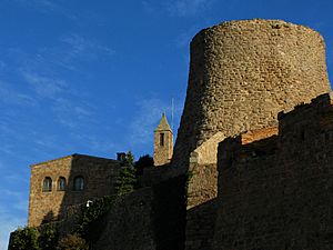 Archivo:Castell de Cardona 2