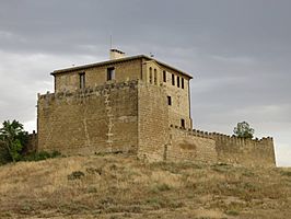 Castillo-Palacio de Torres Secas