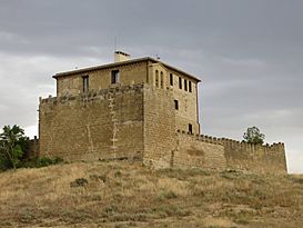 Castillo Torres Secas.jpg