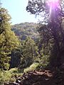 Cerro el Roble