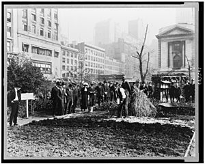 Archivo:City experiment in gardening, New York City LCCN93501876