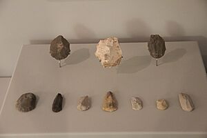 Archivo:Cueva Cuetu la Mina (04) Arqueoloxicu