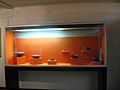CuicuilcoMuseumBowls